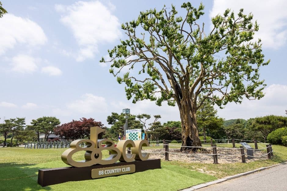 88CC Par3 골프장 용인 골프장 사진